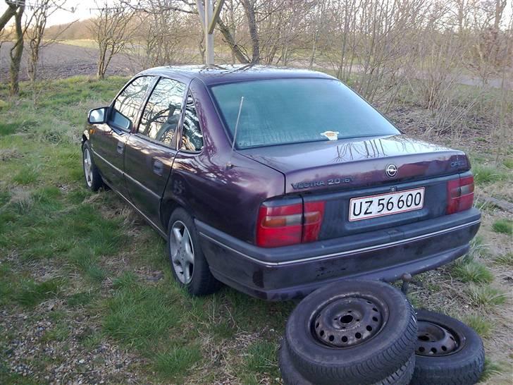 Manta med dejlige brede skærme billede 33