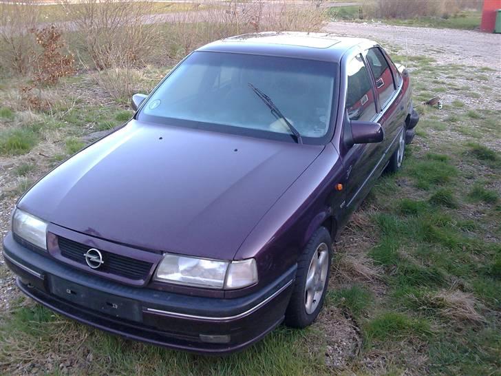 Manta med dejlige brede skærme billede 34