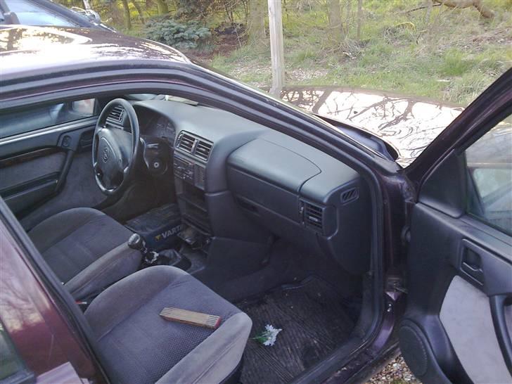 Manta med dejlige brede skærme billede 36