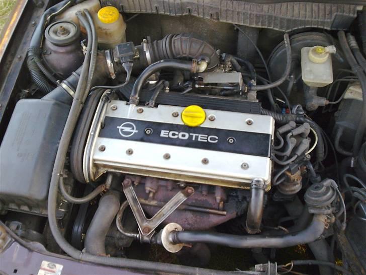 Manta med dejlige brede skærme billede 39