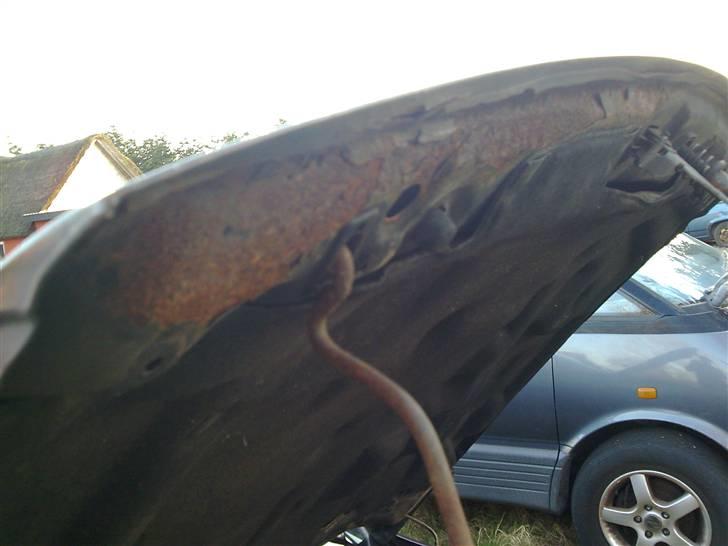 Manta med dejlige brede skærme billede 40