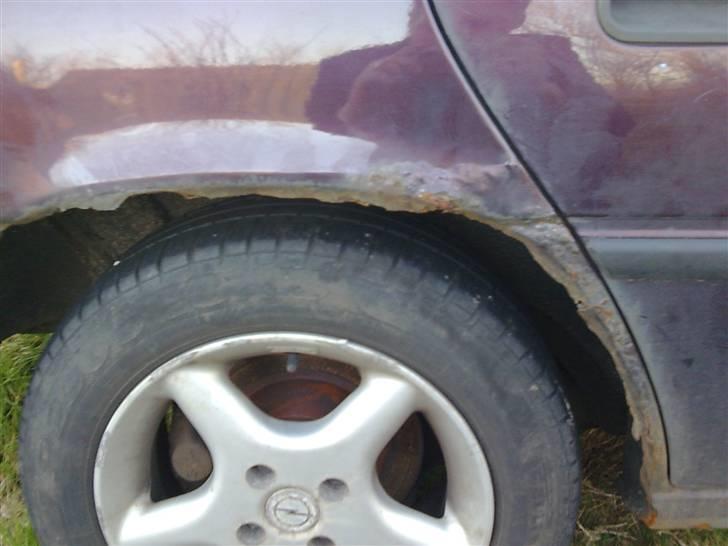 Manta med dejlige brede skærme billede 41