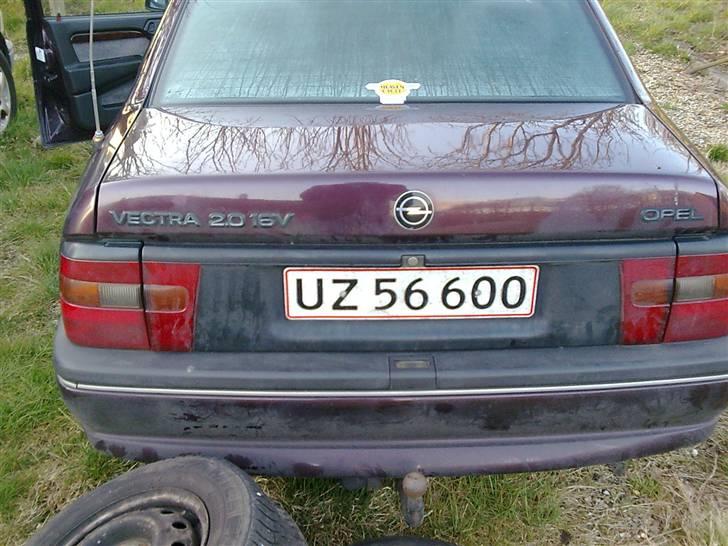 Manta med dejlige brede skærme billede 42