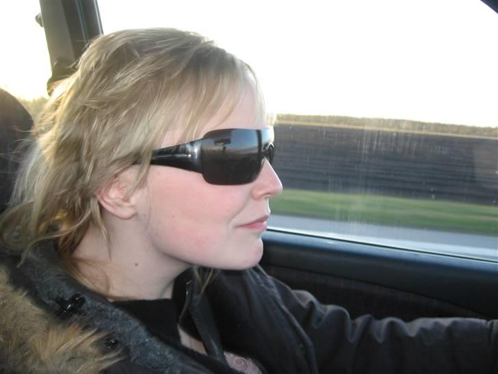 En tur med de skøre billede 17