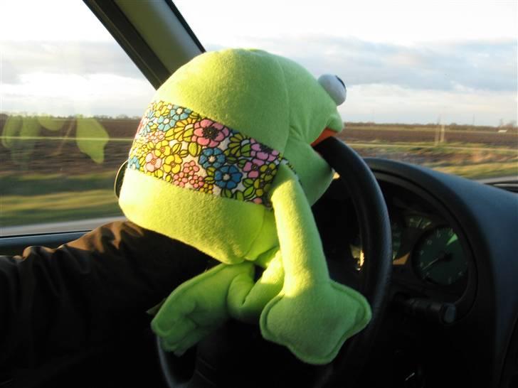 En tur med de skøre billede 24