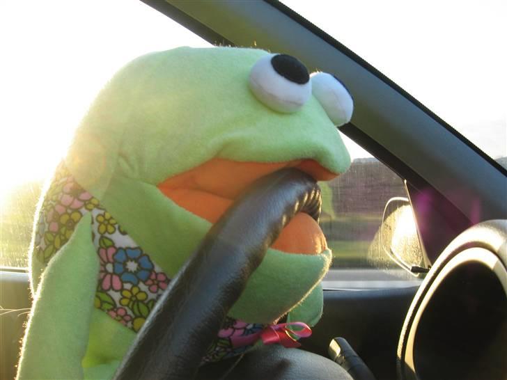 En tur med de skøre billede 25