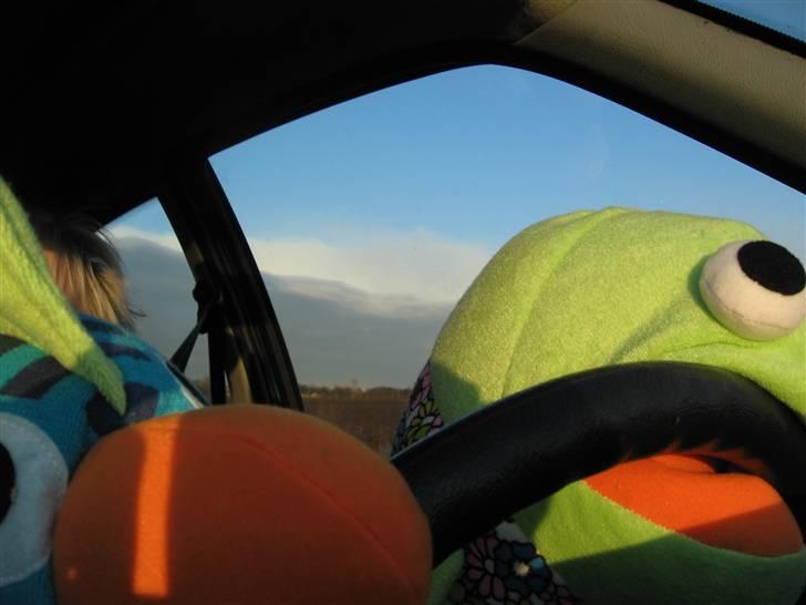 En tur med de skøre billede 27