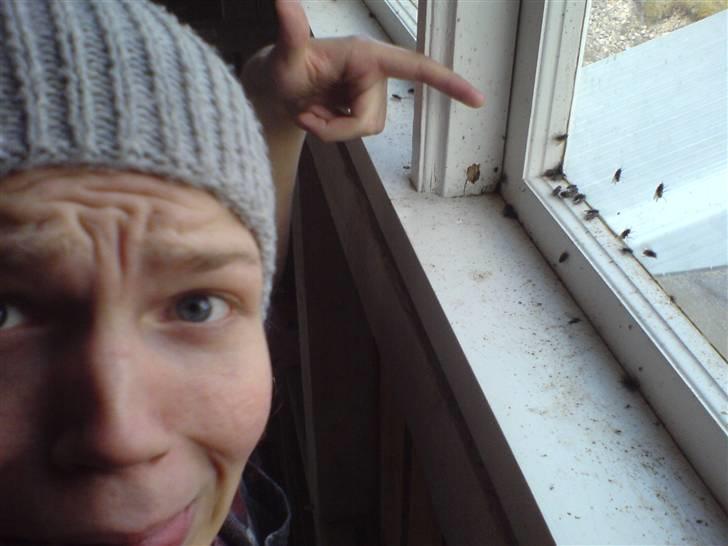 Tur til Mønsted kalk-grubber - Fluere! billede 5