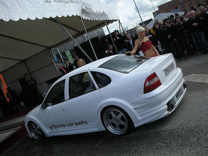 Vmax Live 2008 (Piger) billede 23