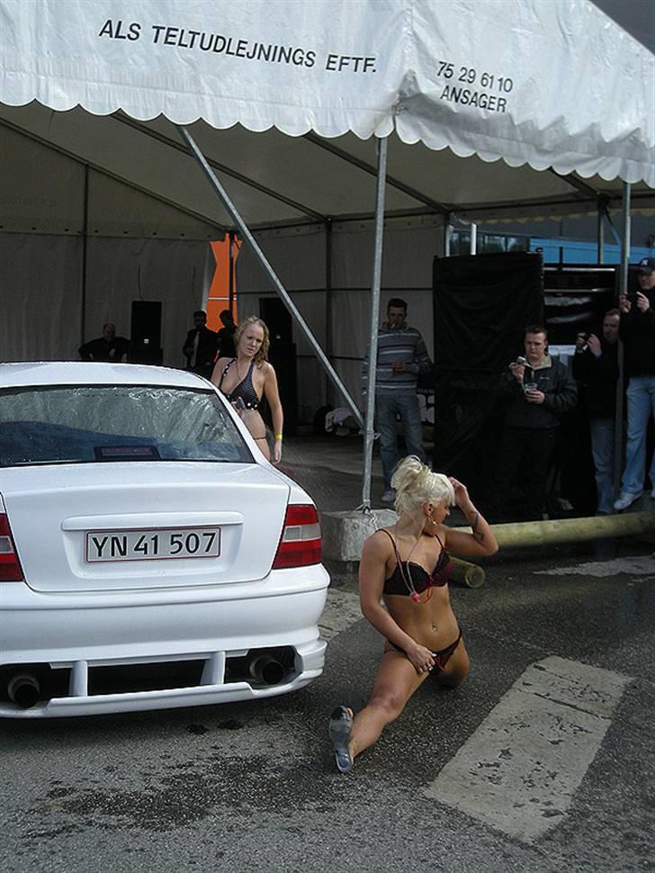 Vmax Live 2008 (Piger) billede 37