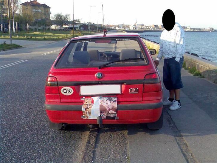 Porno-Bilen - Strandvejen et sted omkring/tæt ved Helsingør - Taget D. 16/04-07 billede 5