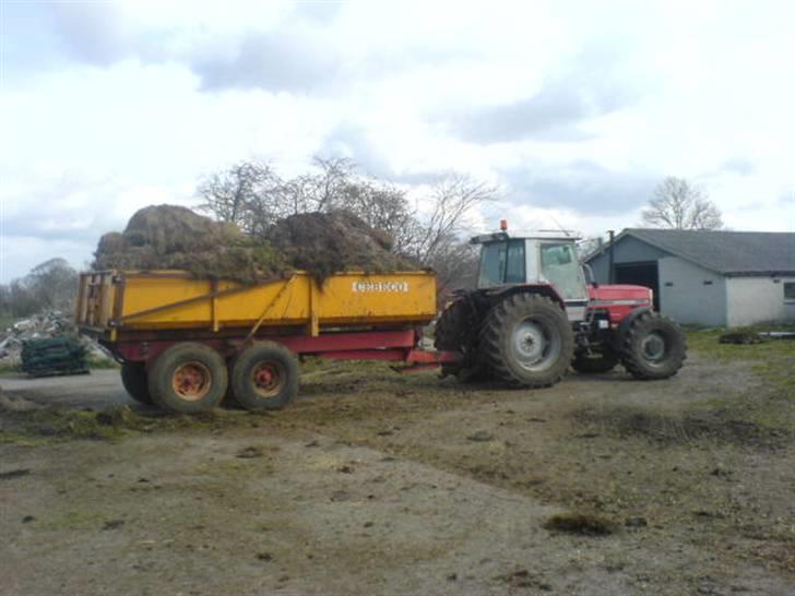 Hjemme på gården - Mf 3125 med cebeco tipvogn billede 1