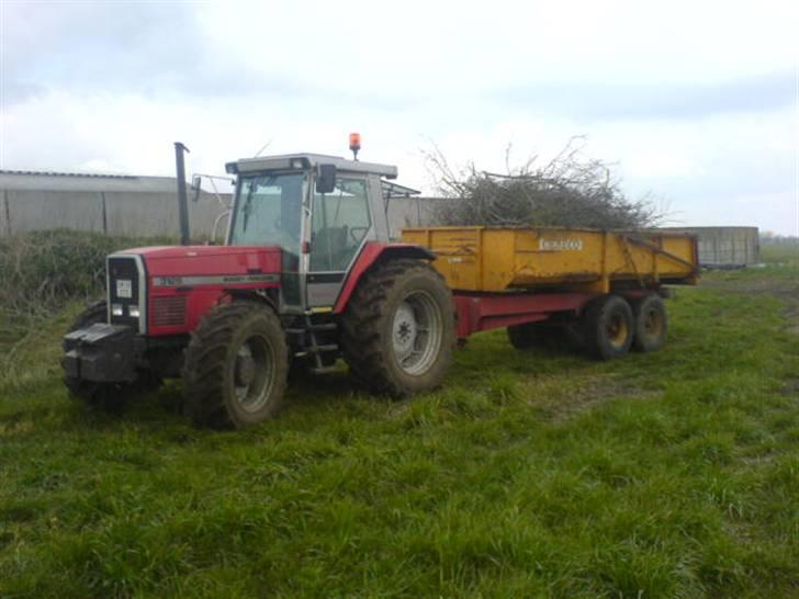 Hjemme på gården - Mf 3125 med cebeco tipvogn billede 2