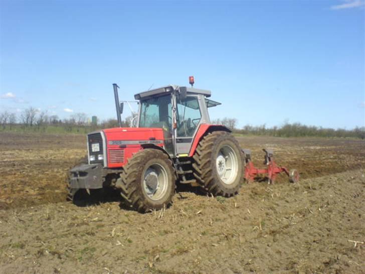 Hjemme på gården - Mf 3125 med 3 fuet naud plov 14" billede 5