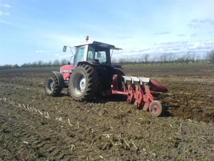 Hjemme på gården - Mf 3125 med 3 fuet naud plov 14" billede 6