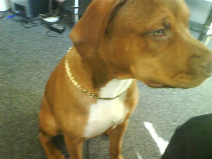 Lidt sjove billder billede 14