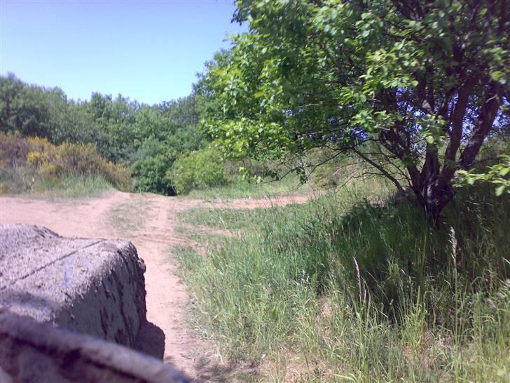 Seest med sord billede 6