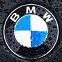 Brian M