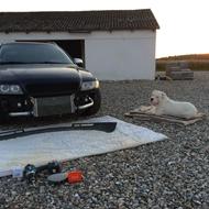 Dan H  [ Striben Aalborg ] .