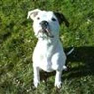 ...Brian&Malene... .