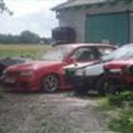 Tonny/Bevar muskelhundene/ J