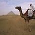 Kamel ridder .