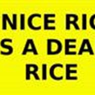 Dennes  [ RICE AIN'T NICE ]