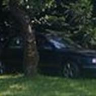 Golden devil's vectra a  h