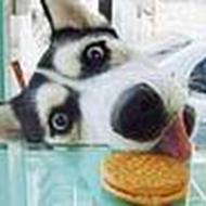 Kejser Volmer Guldbajer d. IV !