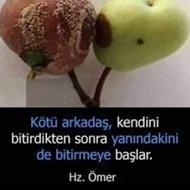 Ønce Can S
