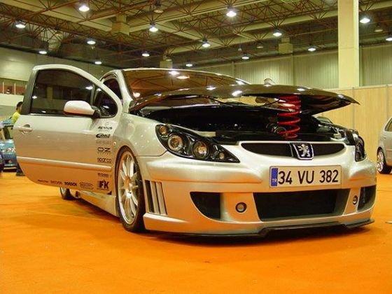 Peugeot 206 Forkofanger