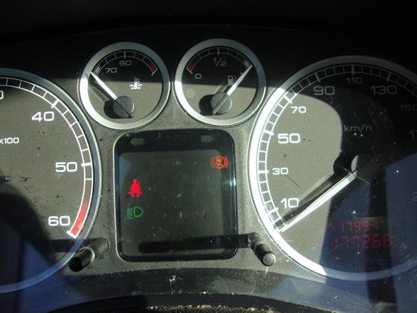 lampe lyser i peugeot 307