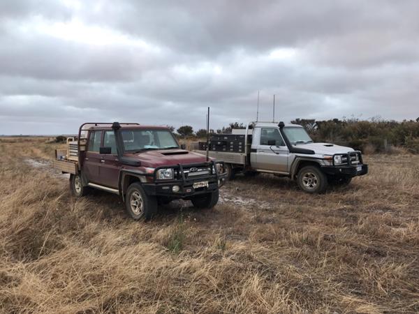Land Cruiser 4,5 V8 Pickup