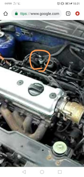 spørgsmål, polo 6n1