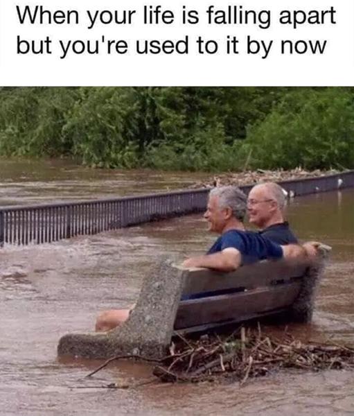 Grundstille med delphi