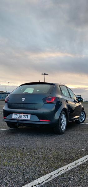 Seat Ibiza udstødning