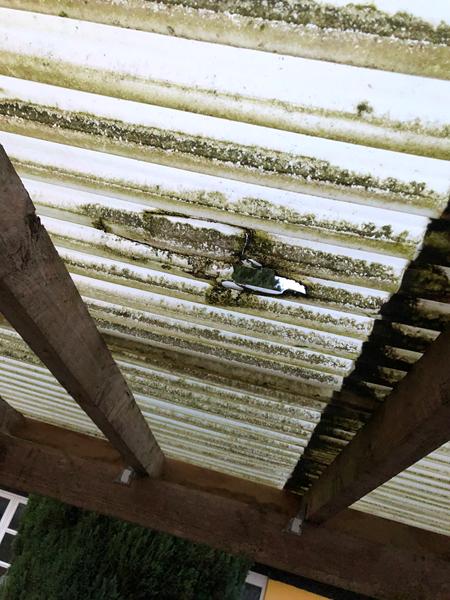 Utæt carport og alger.