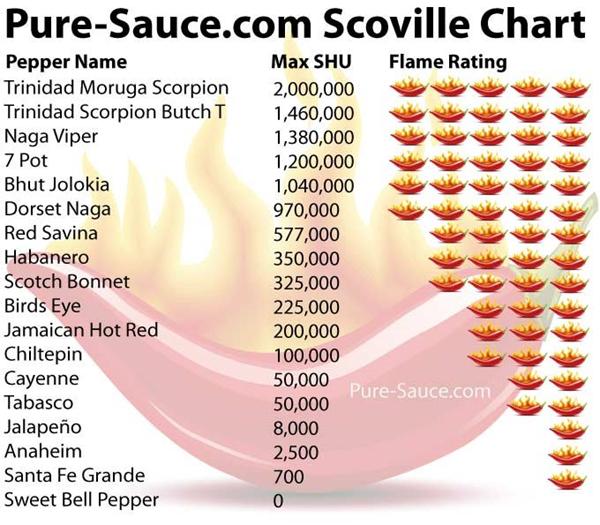 Så skal der laves chilli...