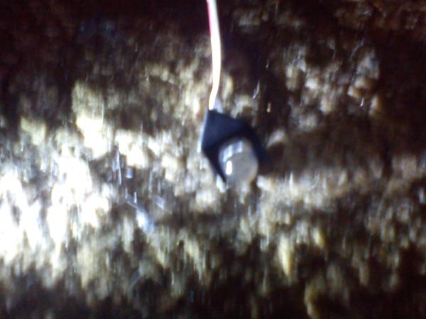 Led pære til subwoofer