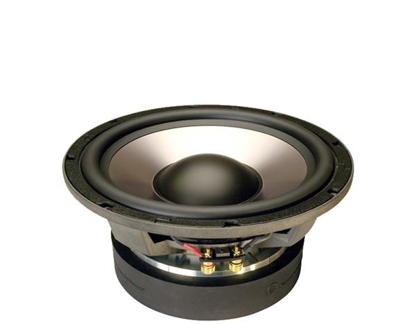 DLS Nobelium 10" i kasse til reservehjulsbrønd.