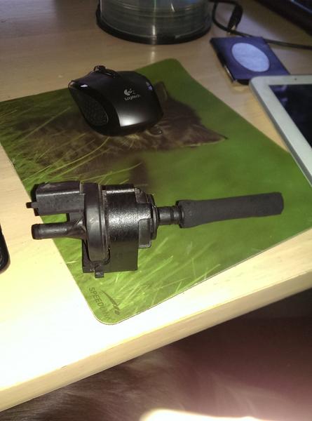 Hvad er det for en gut