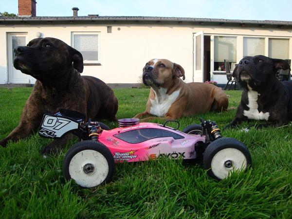 Har i andre hobbyer end bilen :) 