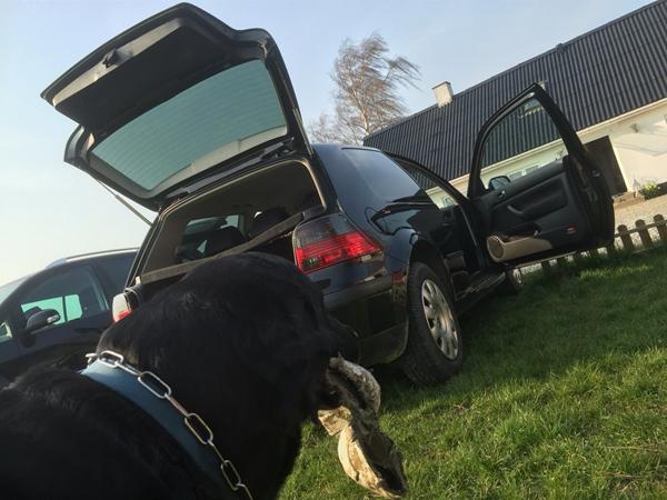 Forskel 2,0 og 1,8 golf IV