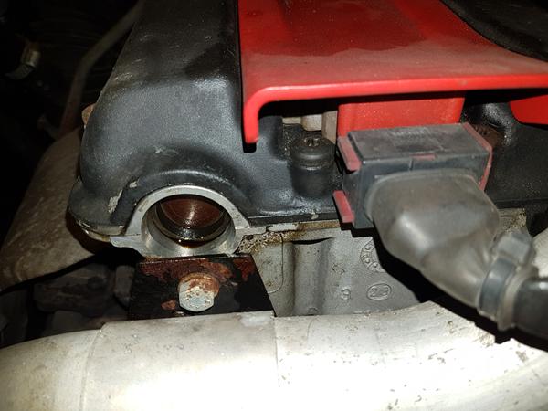 Kan du gætte en prop?