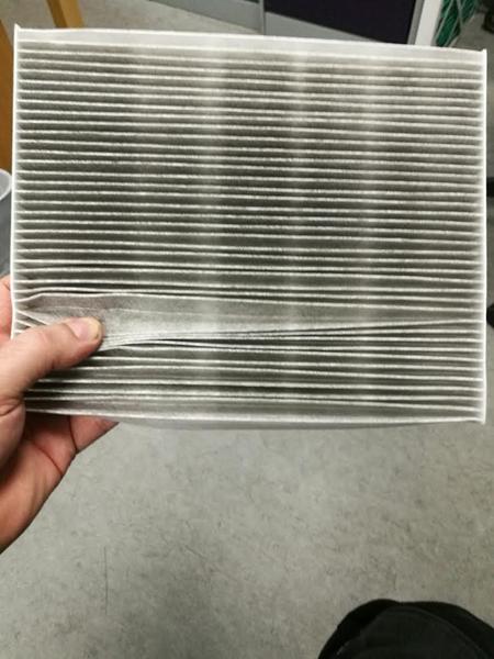 Er dette pollenfilter ok?