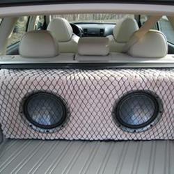 Bass system til stationcar (med hund)