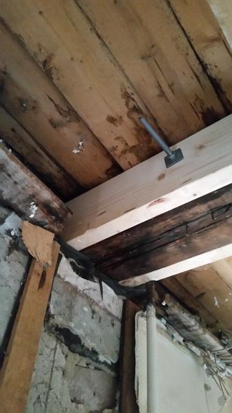 Råd i bærende konstruktioner i hus