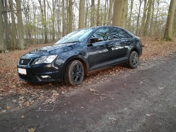 sikringer Seat Toledo 2017?