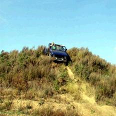 Amerikaner IH Scout II