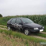 Citroën zx (Solgt)